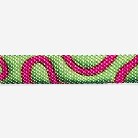 Collar para Gatos H3D Jelly