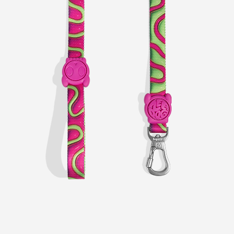Correa para Perros H3D Jelly