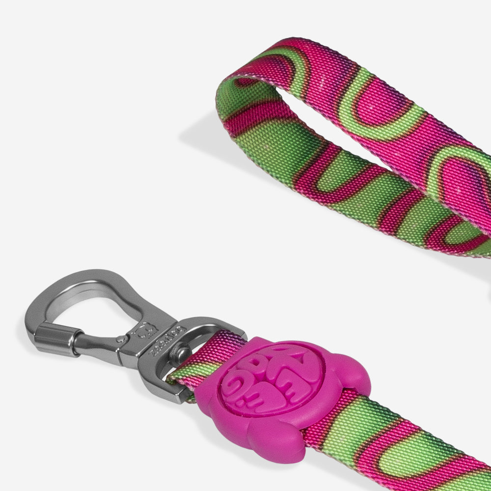 Correa para Perros H3D Jelly