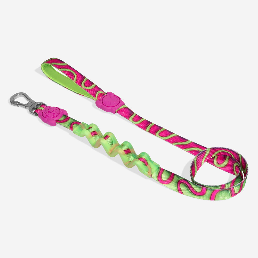 Correa Ruff con Amortiguador para Perros H3D Jelly