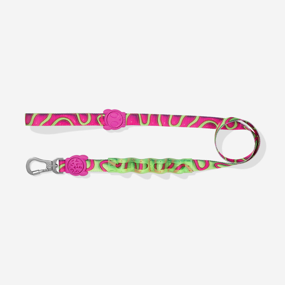 Correa Ruff con Amortiguador para Perros H3D Jelly