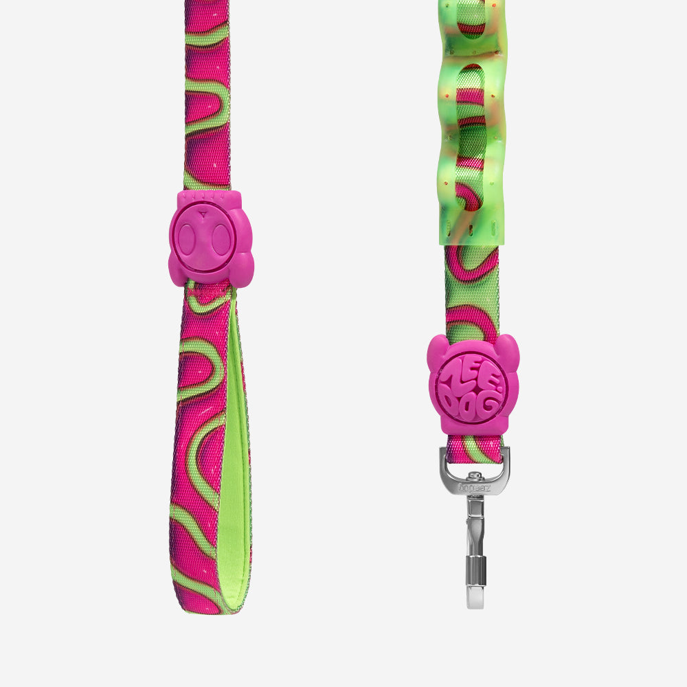 Correa Ruff con Amortiguador para Perros H3D Jelly