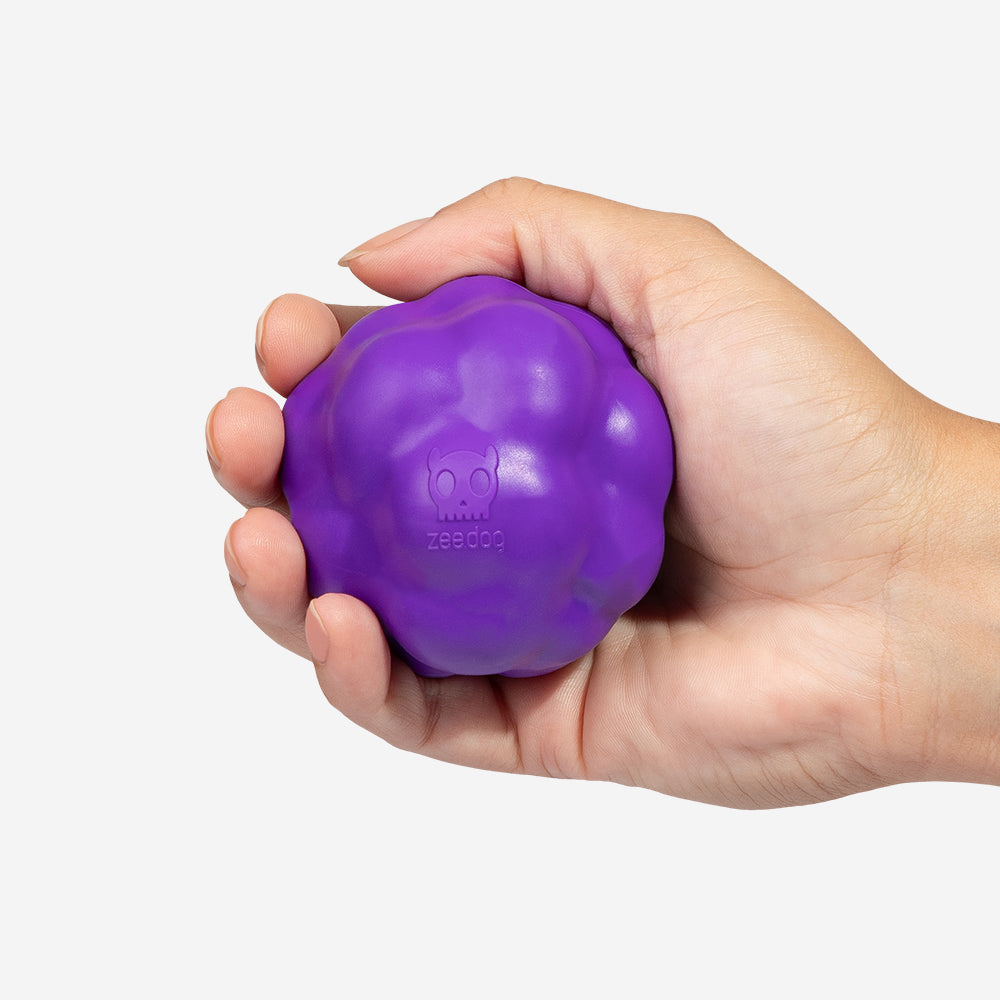 Juguete para Perros H3D Ball Toy