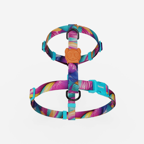 H-Harness para Perros H3D Bounce