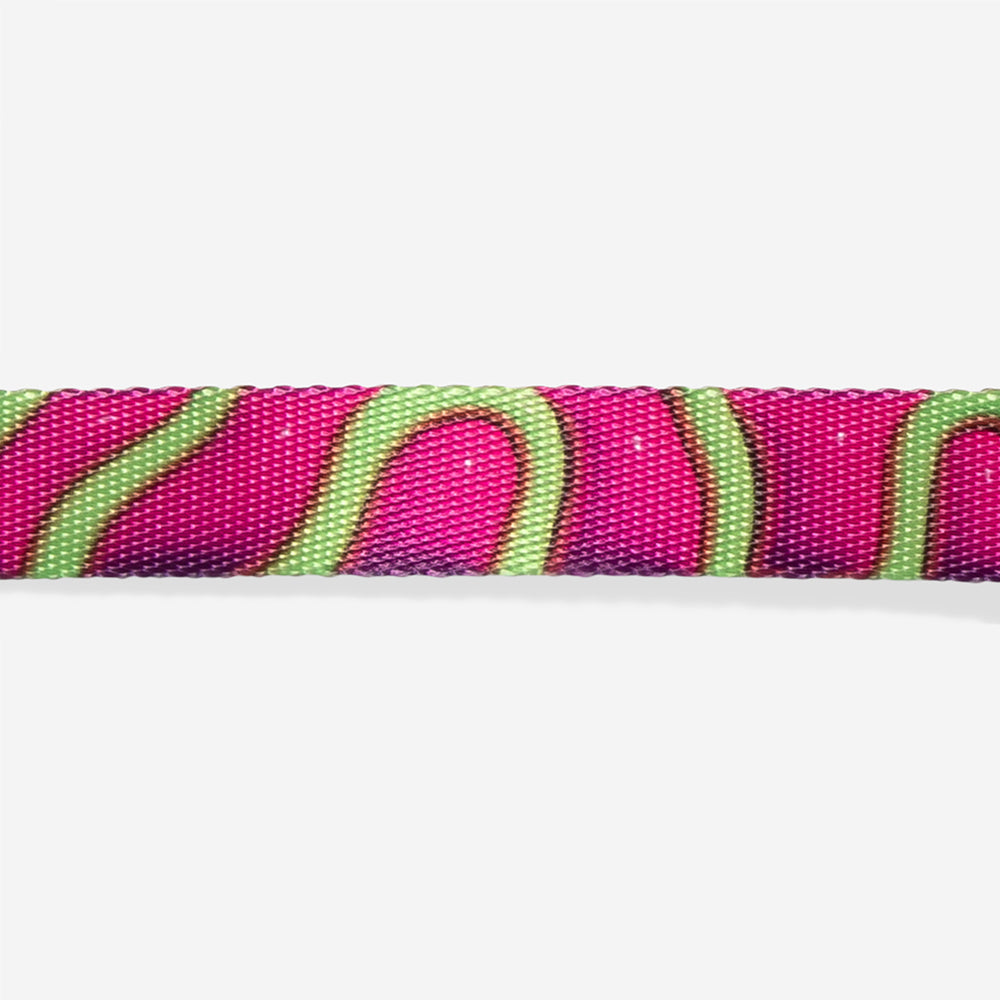 Collar para Gatos H3D Jelly