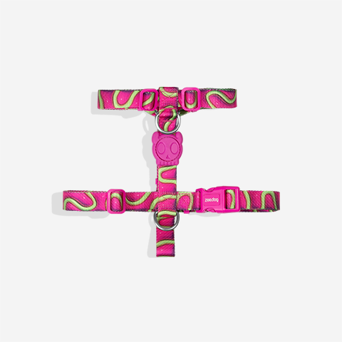 H-Harness para Perros H3D Jelly