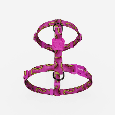 H-Harness para Perros H3D Jelly