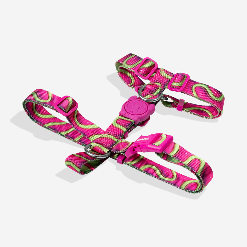 H-Harness para Perros H3D Jelly