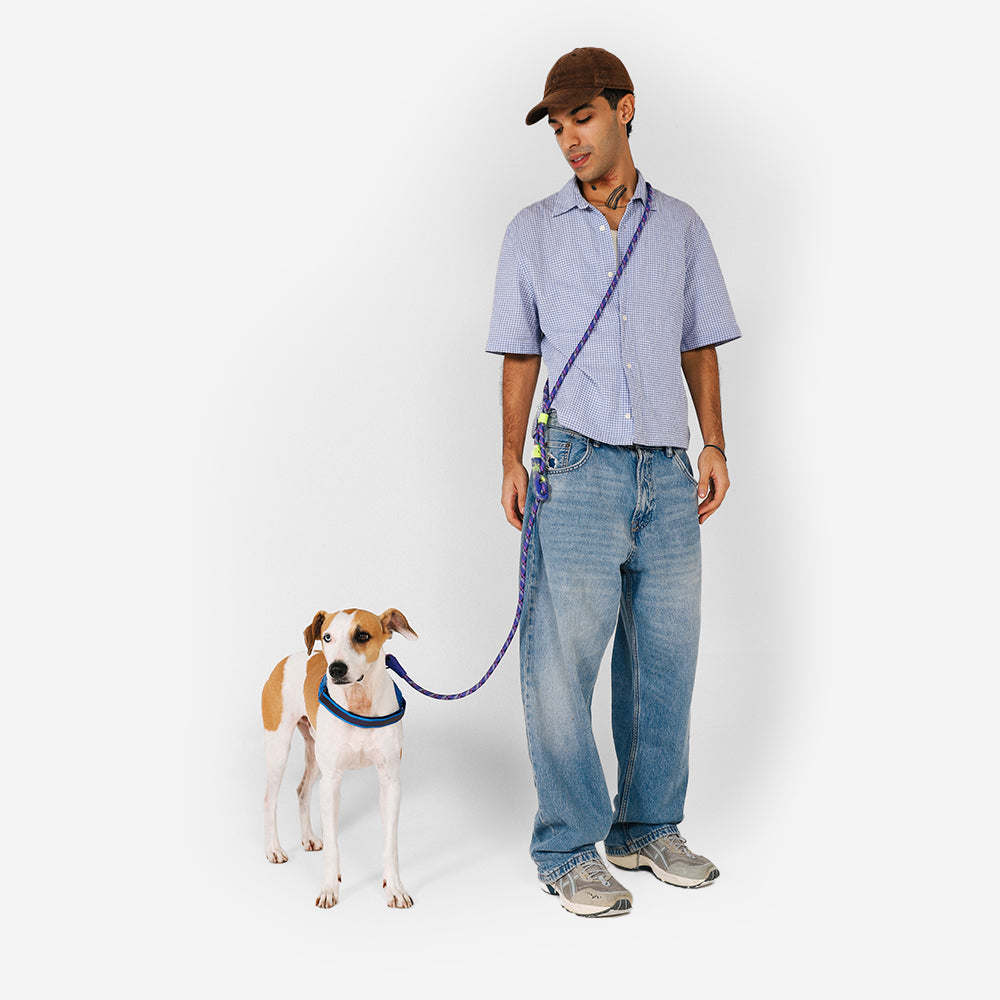 Correa Hands-Free para Perros Tokyo