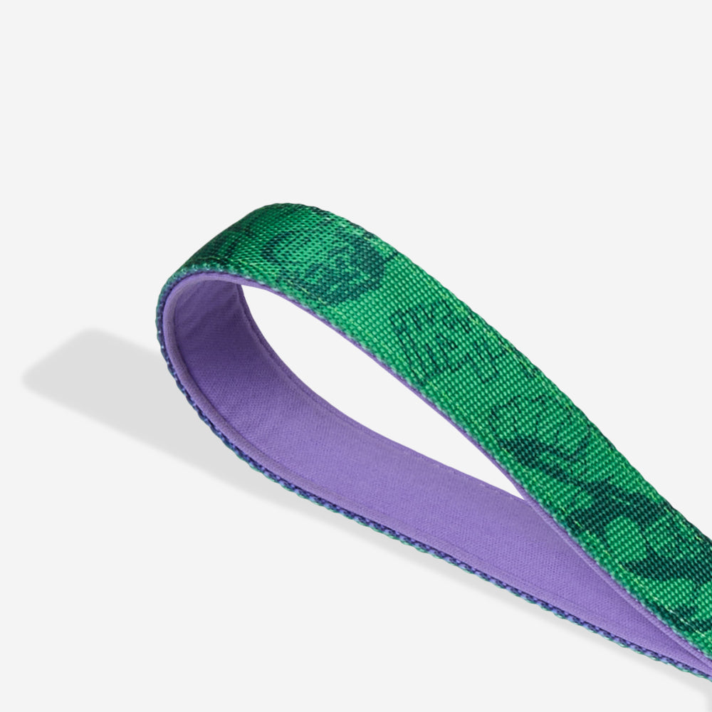 Correa Ruff con Amortiguador para Perros Marvel Hulk