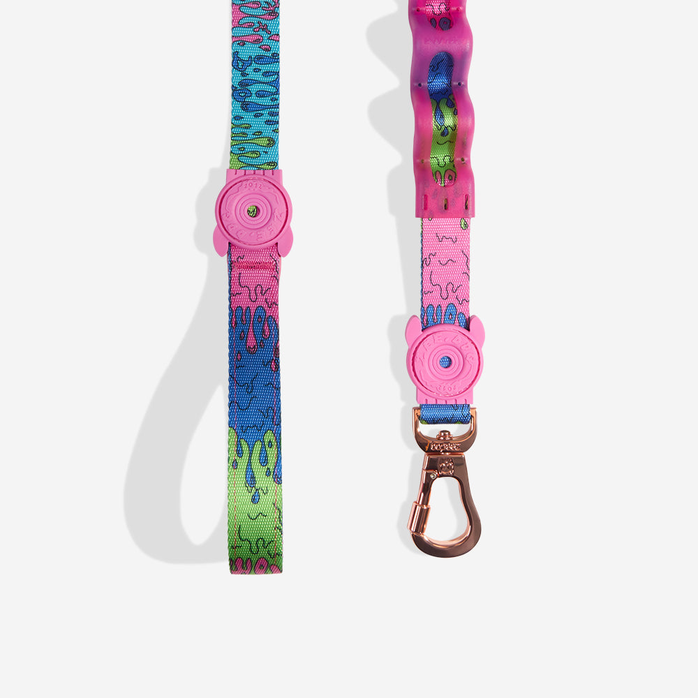 Correa Ruff con Amortiguador para Perros Melted