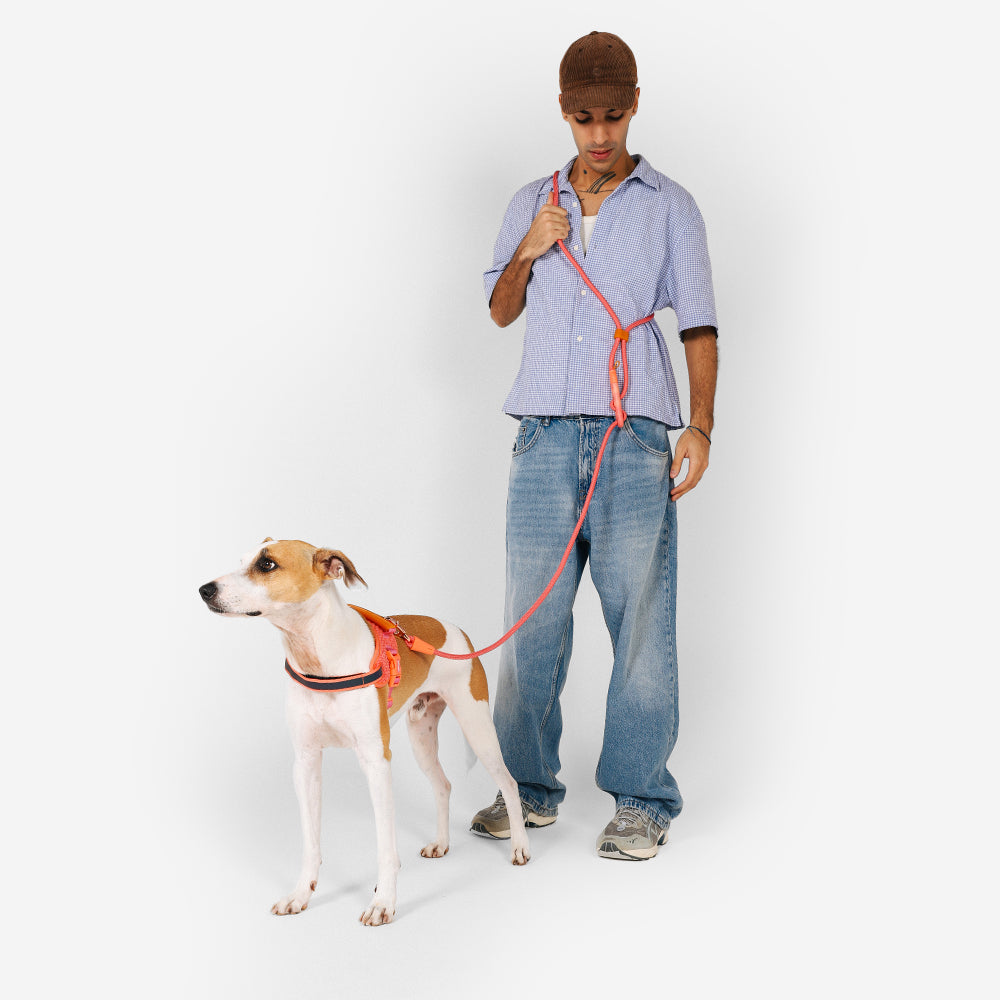 Correa Hands-Free para Perros Gazelle