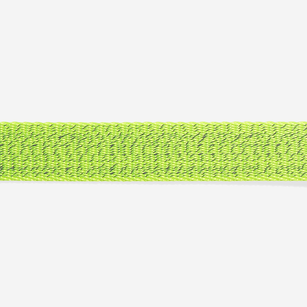 Collar para Perros NOX Lumen
