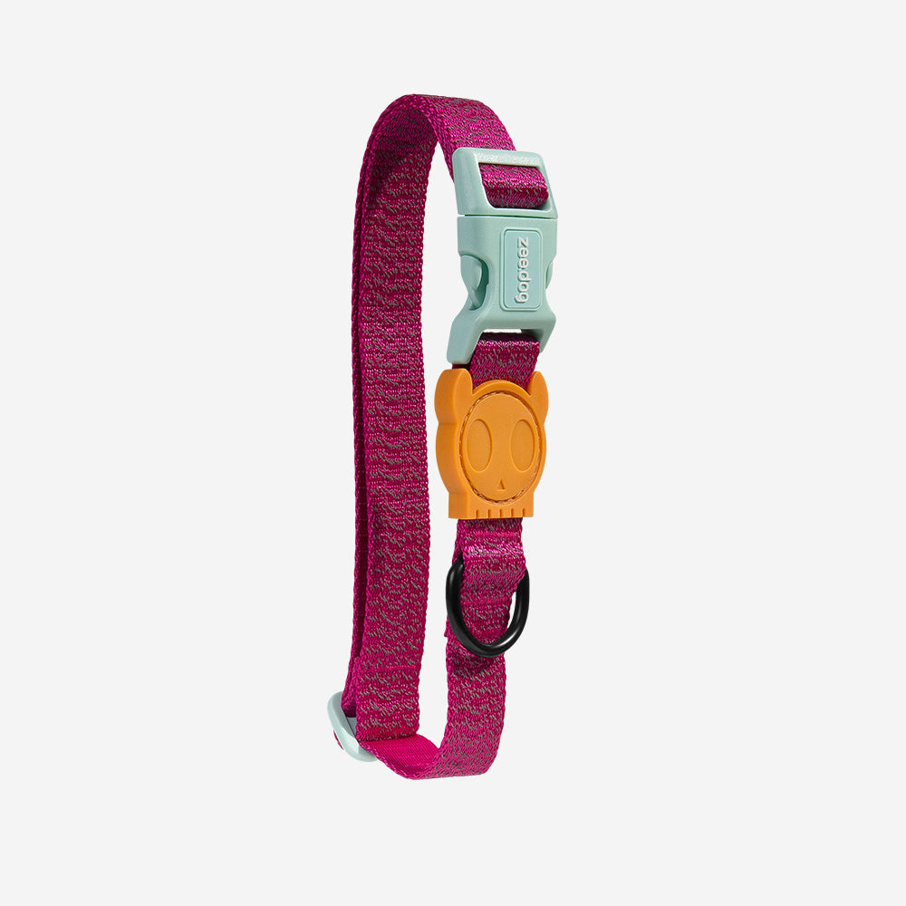 Collar para Perro NOX Sidus