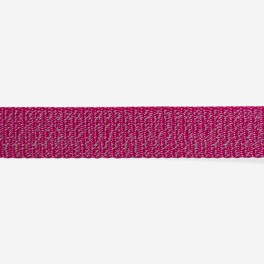 Collar para Perro NOX Sidus
