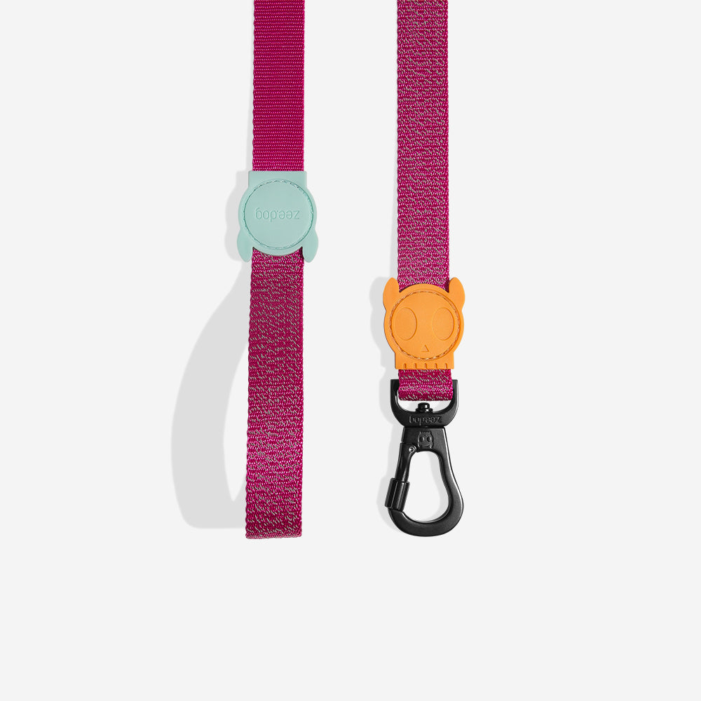 Correa para Perros NOX Sidus