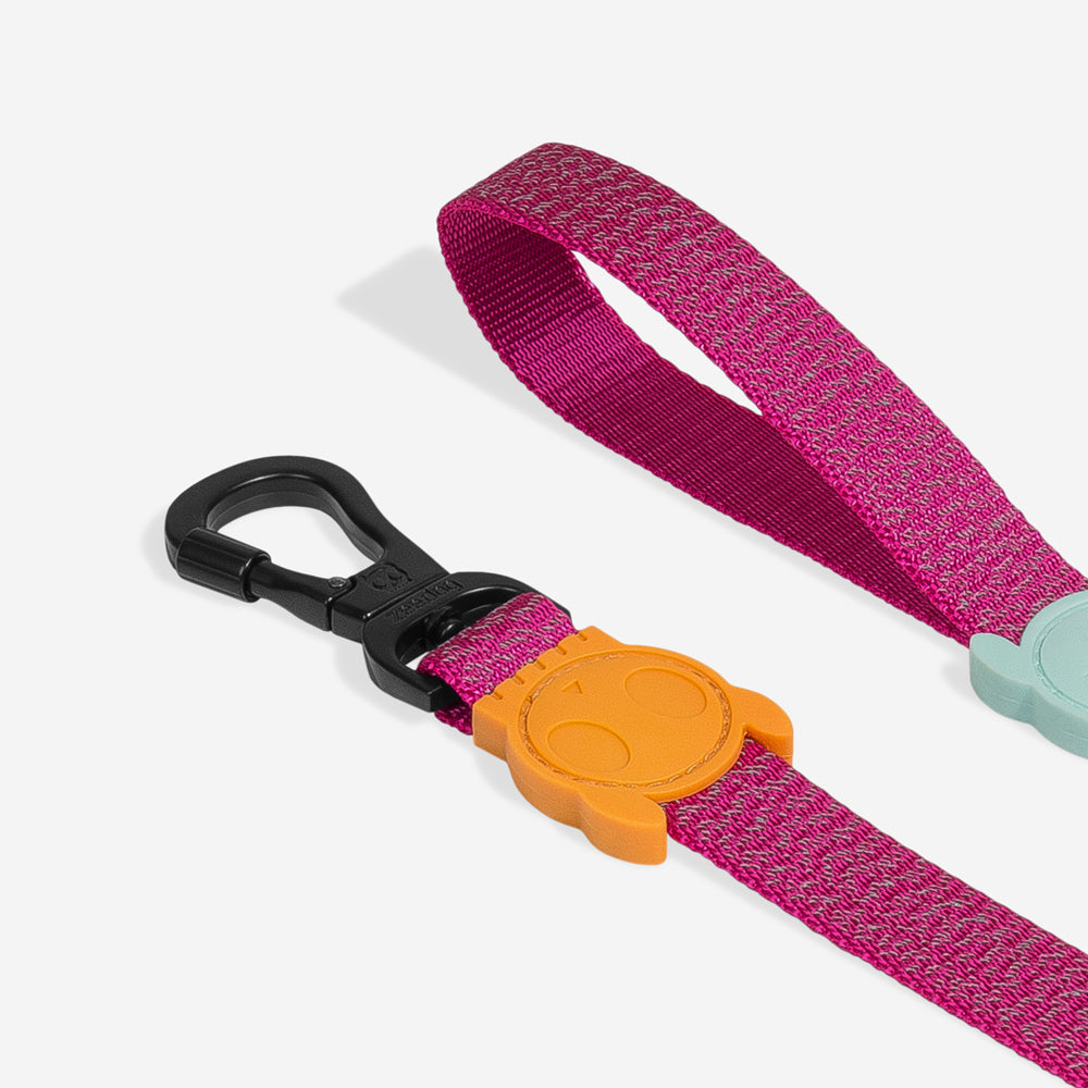 Correa para Perros NOX Sidus