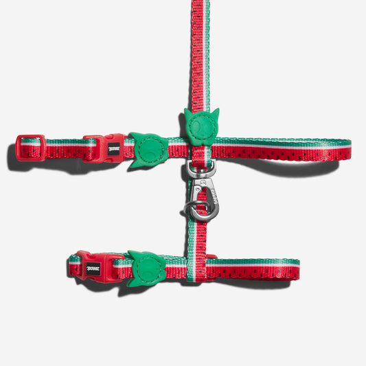 Arnés y Correa para Gatos Lola