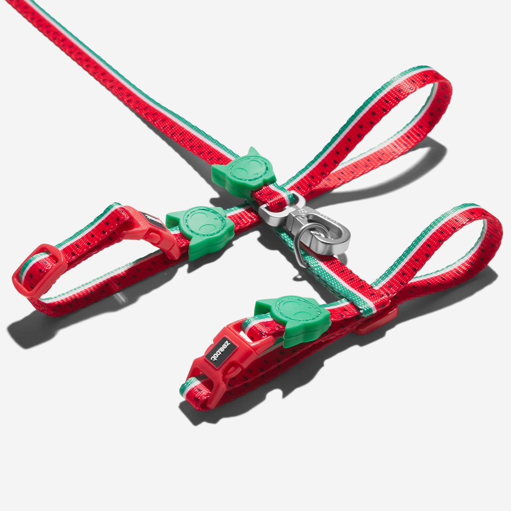 Arnés y Correa para Gatos Lola