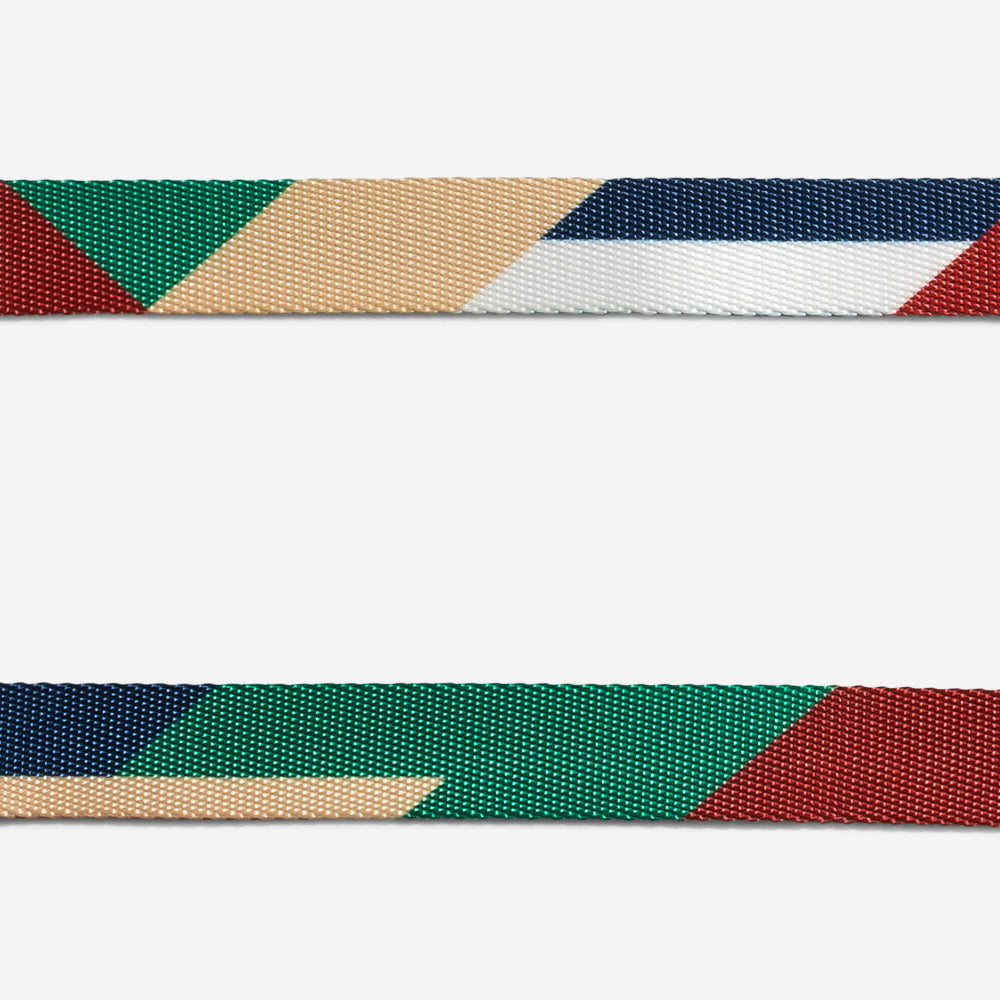 Arnés y Correa para Gatos Pacco