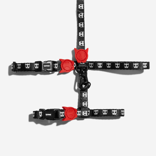 Arnés y Correa para Gatos Skull