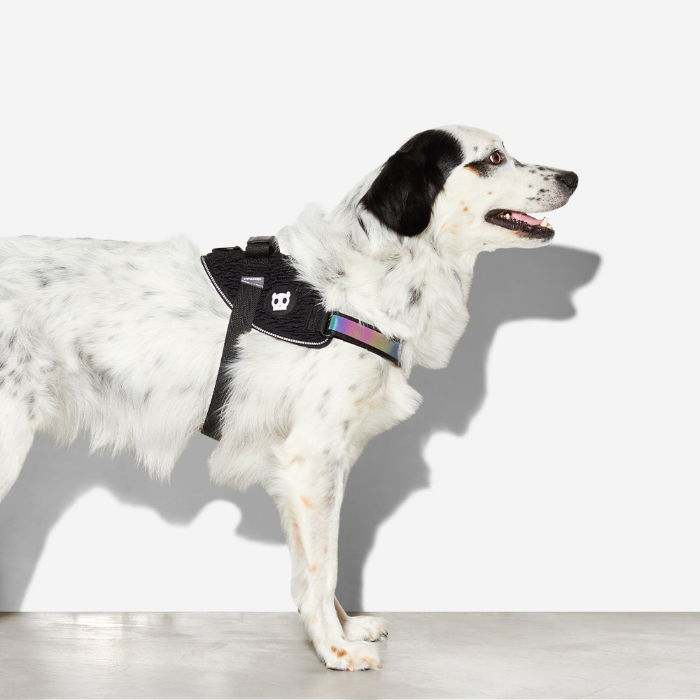 Pechera FlyHarness para Perros Gotham