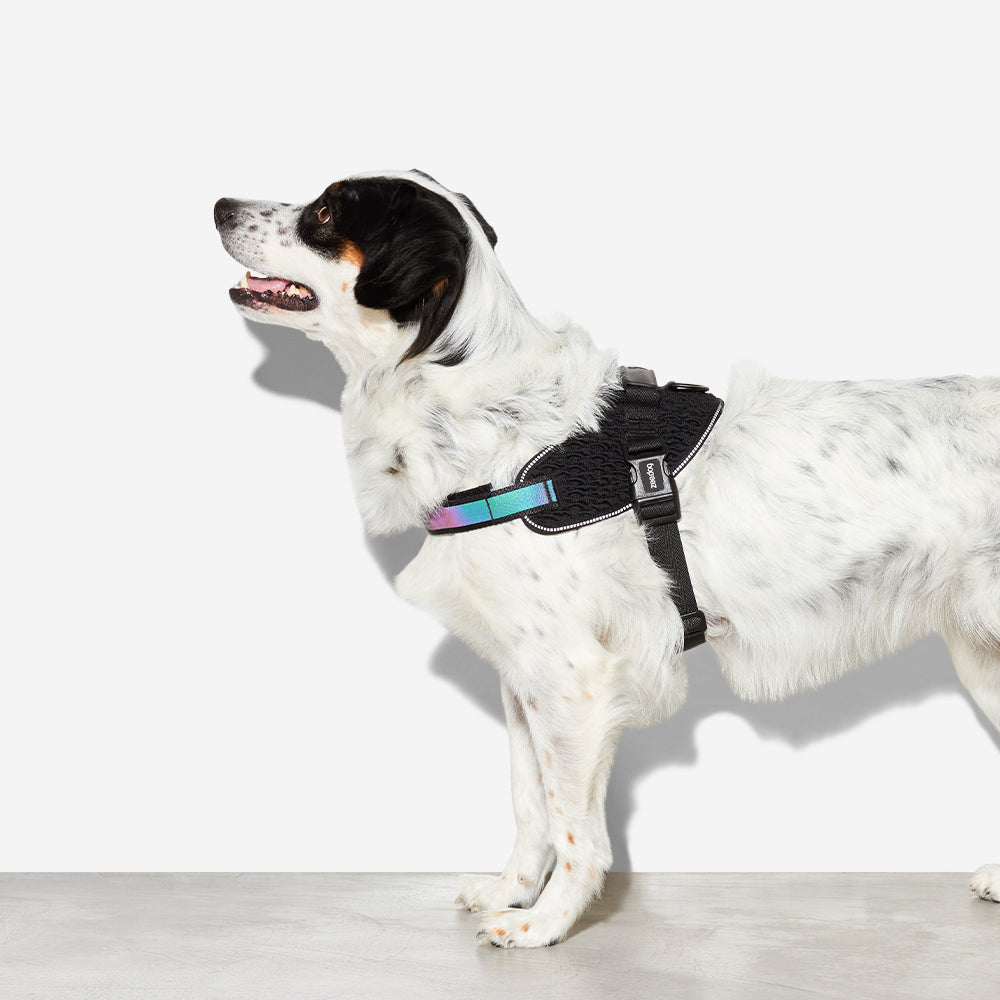 Pechera FlyHarness para Perros Gotham