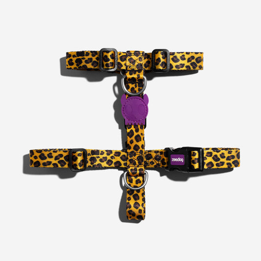 H-Harness para Perros Honey