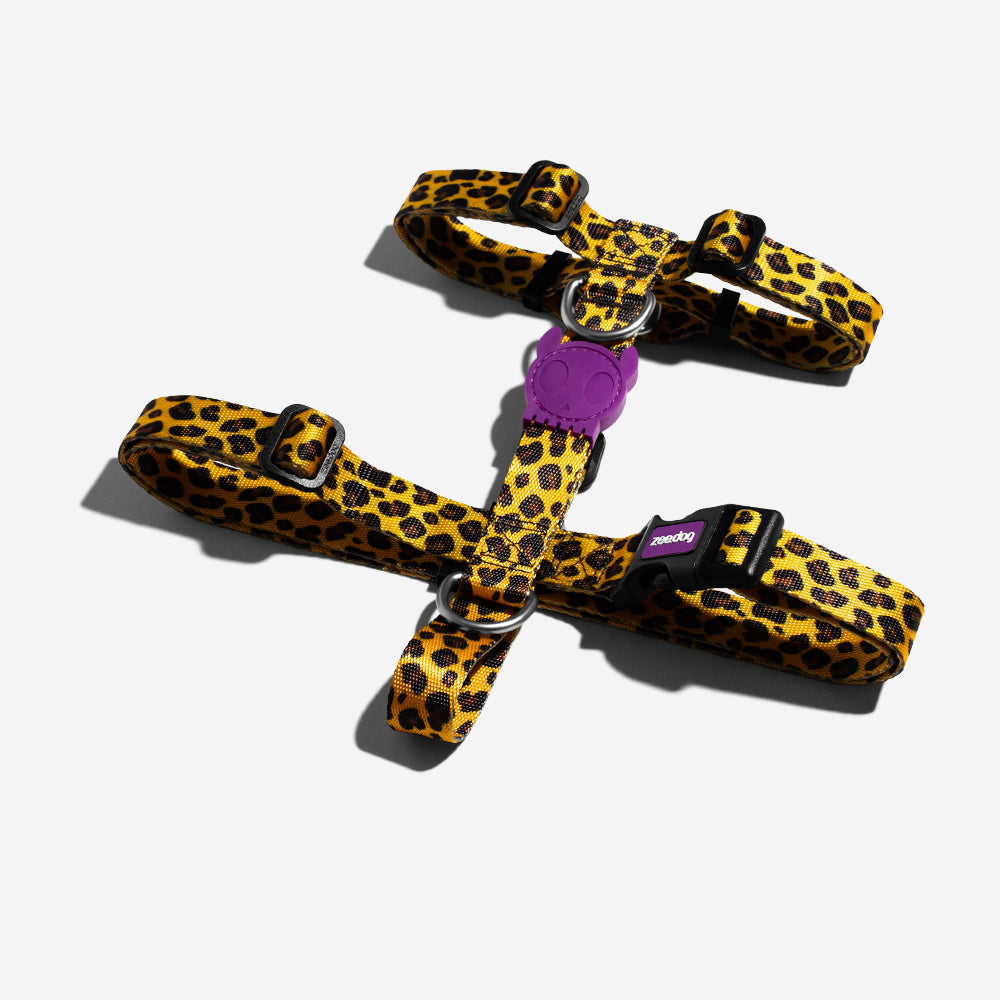 H-Harness para Perros Honey