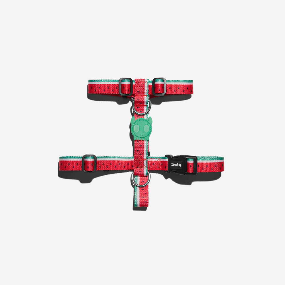 H-Harness para Perros Lola