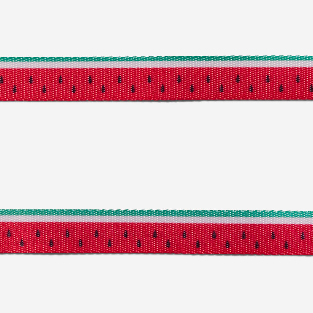 H-Harness para Perros Lola