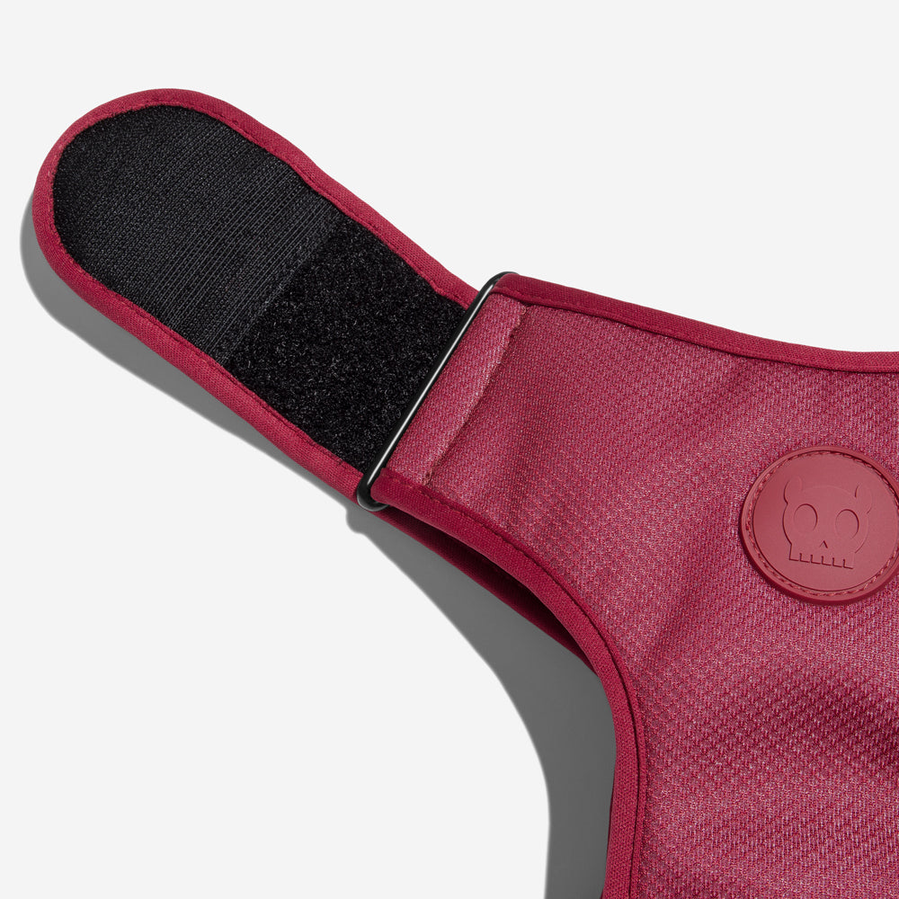 Pechera Air Mesh Ajustable para Perros Bordeau