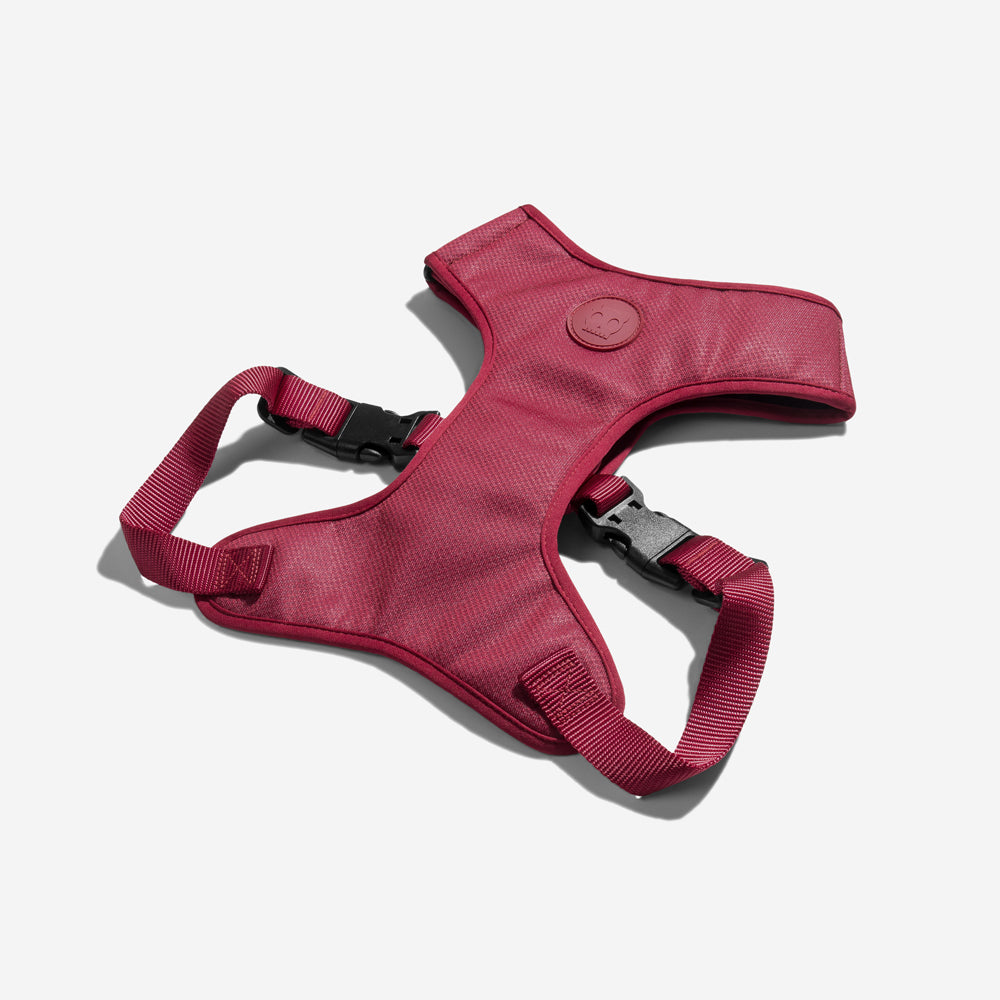 Pechera Air Mesh Ajustable para Perros Bordeau