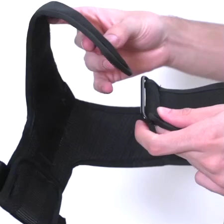 Pechera Air Mesh Ajustable para Perros Pacco