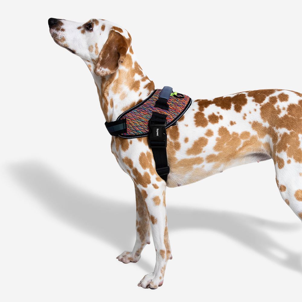 Pechera FlyHarness para Perros Vortex