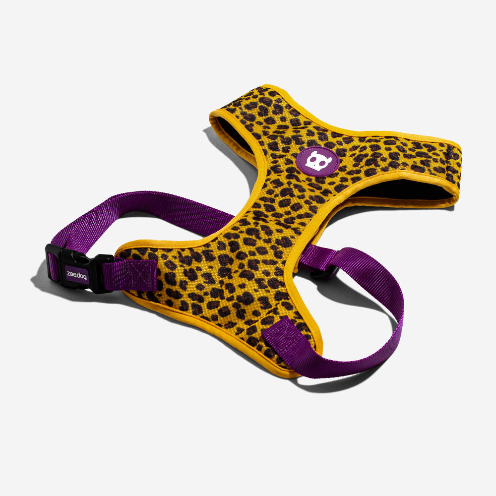 Pechera Air Mesh Ajustable para Perros Honey