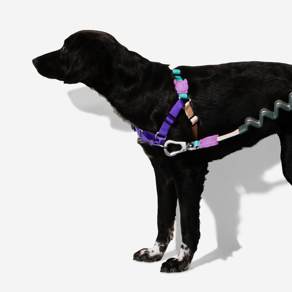 Arnés Soft-Walk para Perros Jaladores Boogie