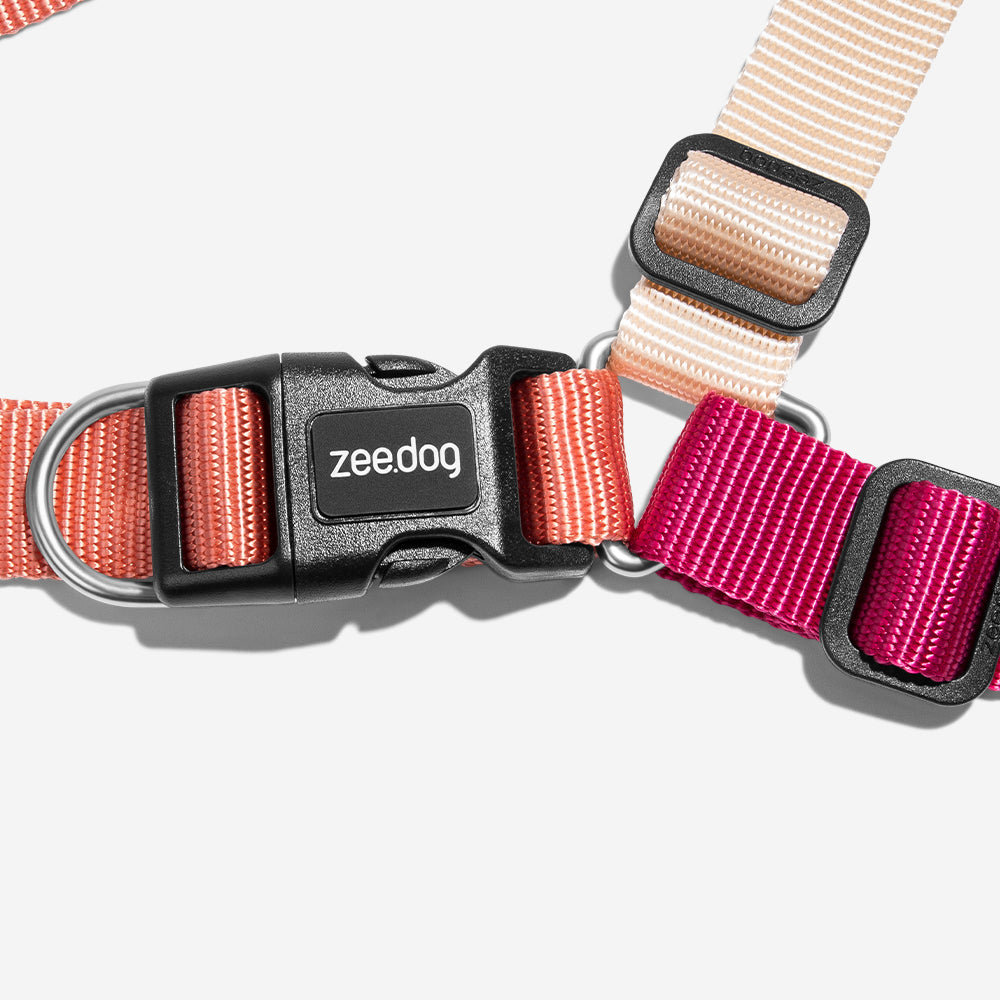 Arnés Soft-Walk para Perros Jaladores Cinnamon