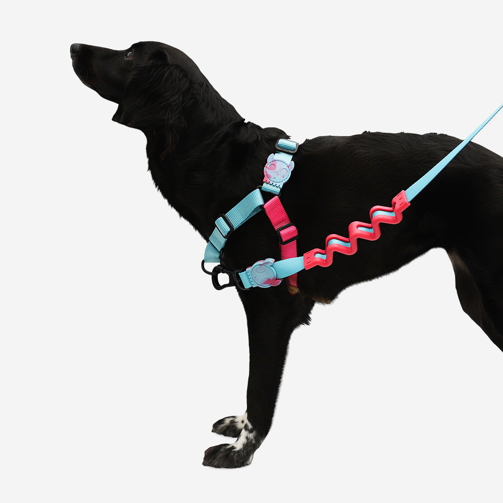 Arnés Soft-Walk para Perros Jaladores Hydra