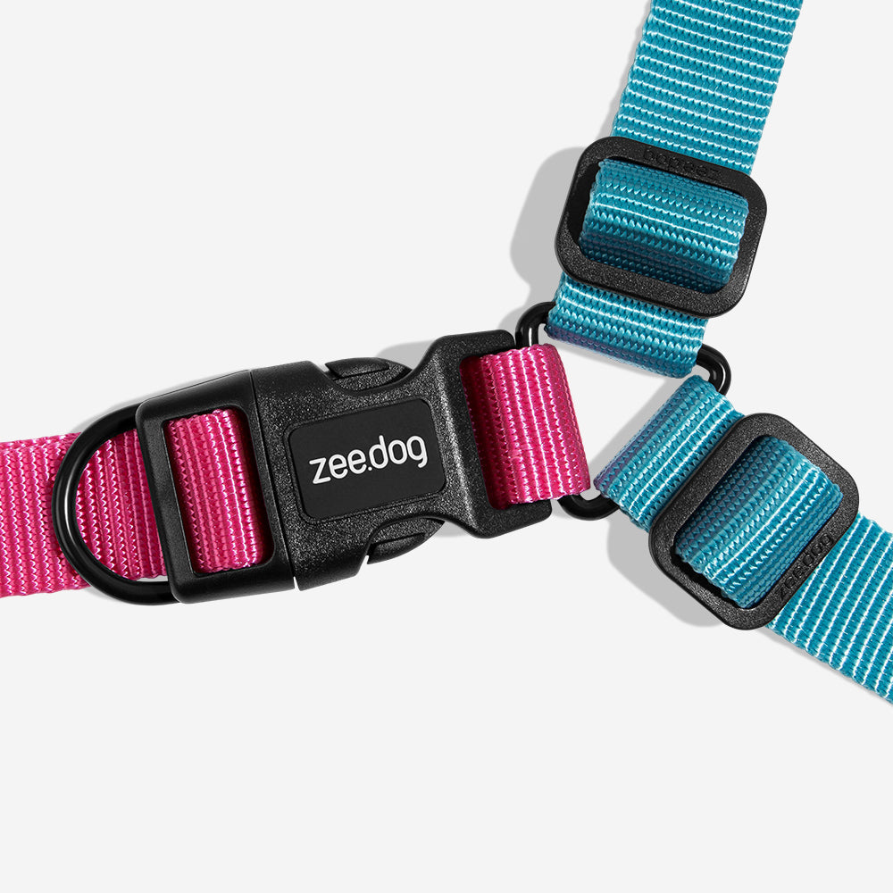 Arnés Soft-Walk para Perros Jaladores Hydra