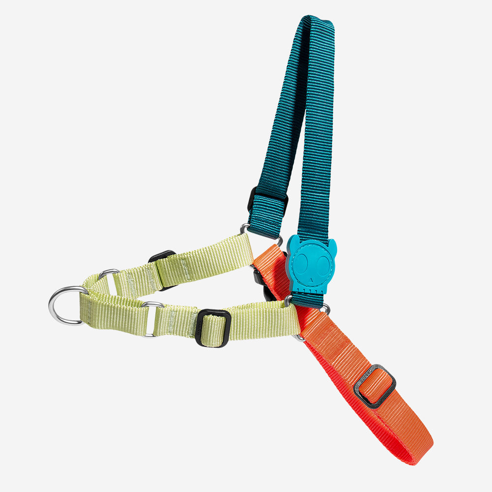 Arnés Soft-Walk para Perros Jaladores Jumper
