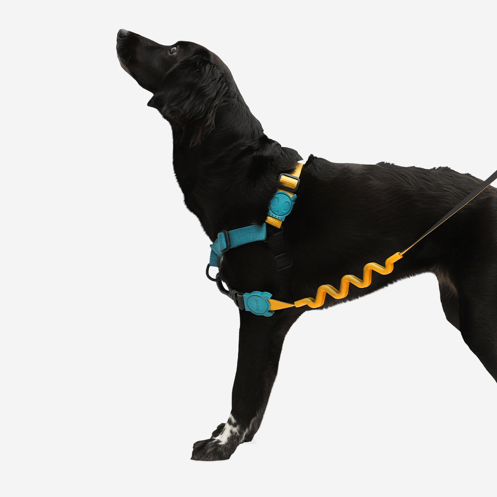 Arnés Soft-Walk para Perros Jaladores Valley