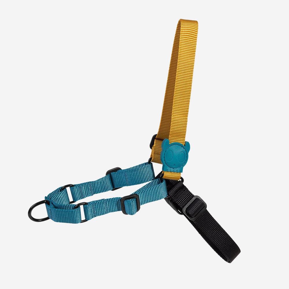 Arnés Soft-Walk para Perros Jaladores Valley