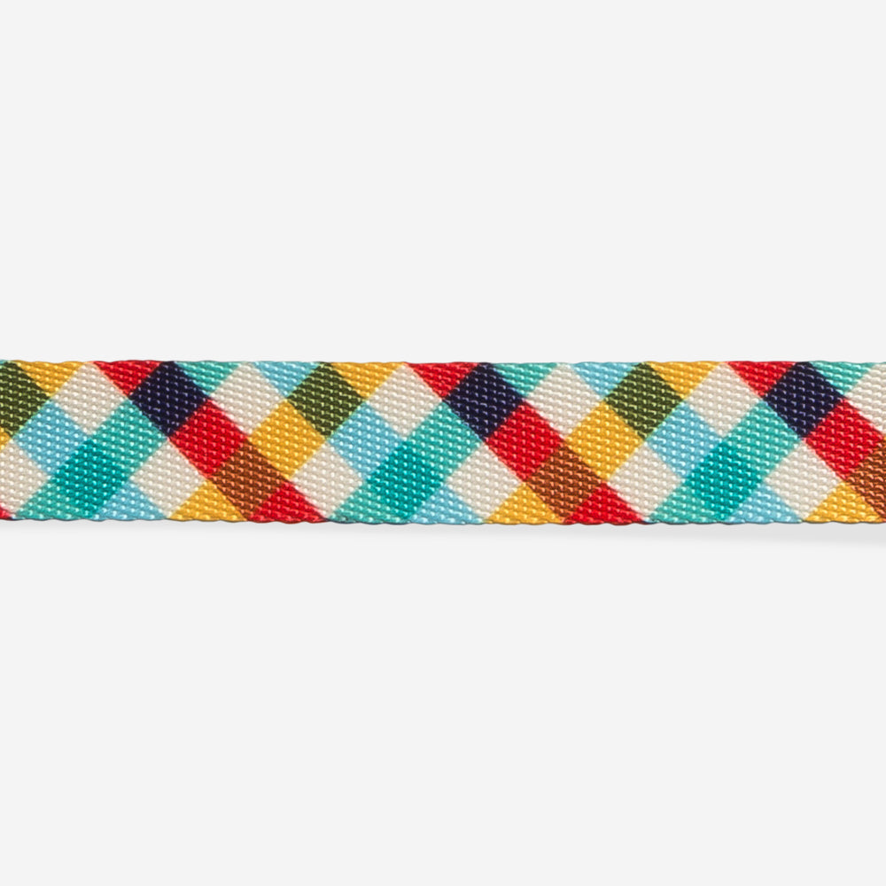 Collar para Gatos Phantom