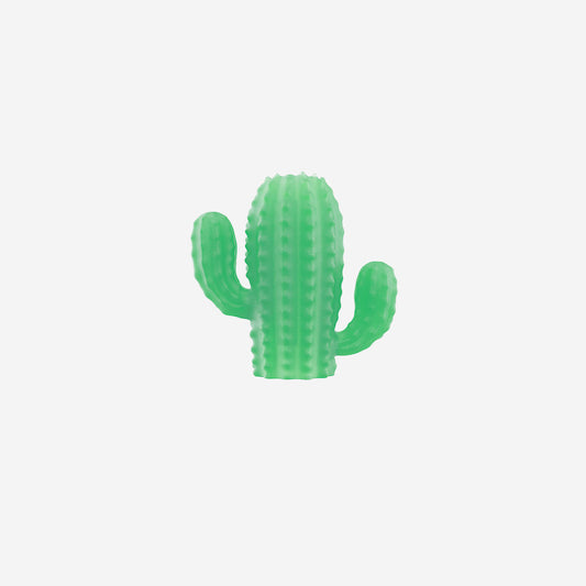 Zee.Pinz Cactus