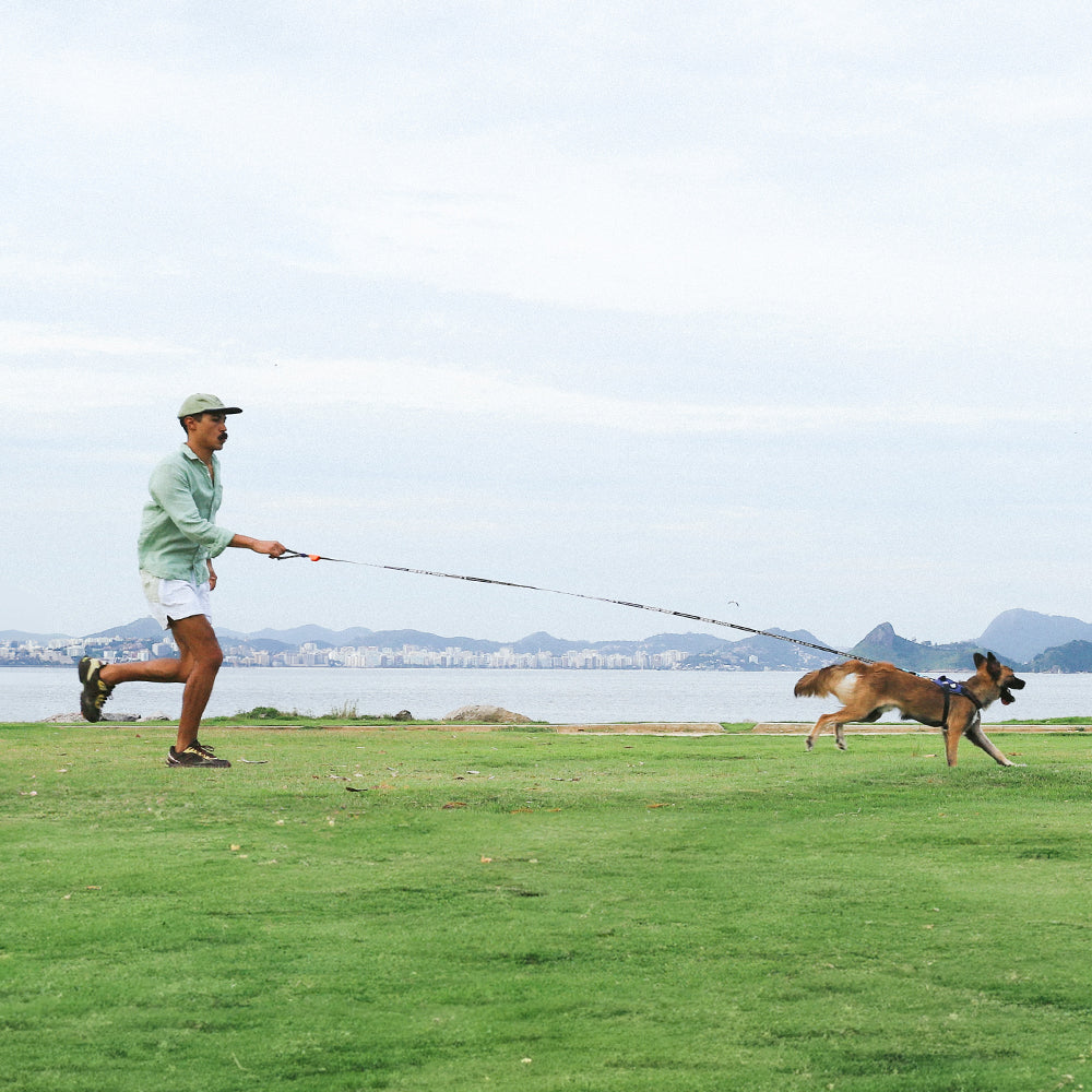 Correa Long para Perros Primo
