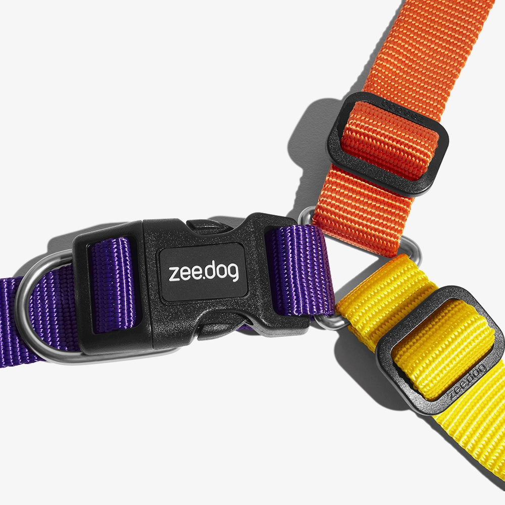 Arnés Soft-Walk para Perros Jaladores Pump