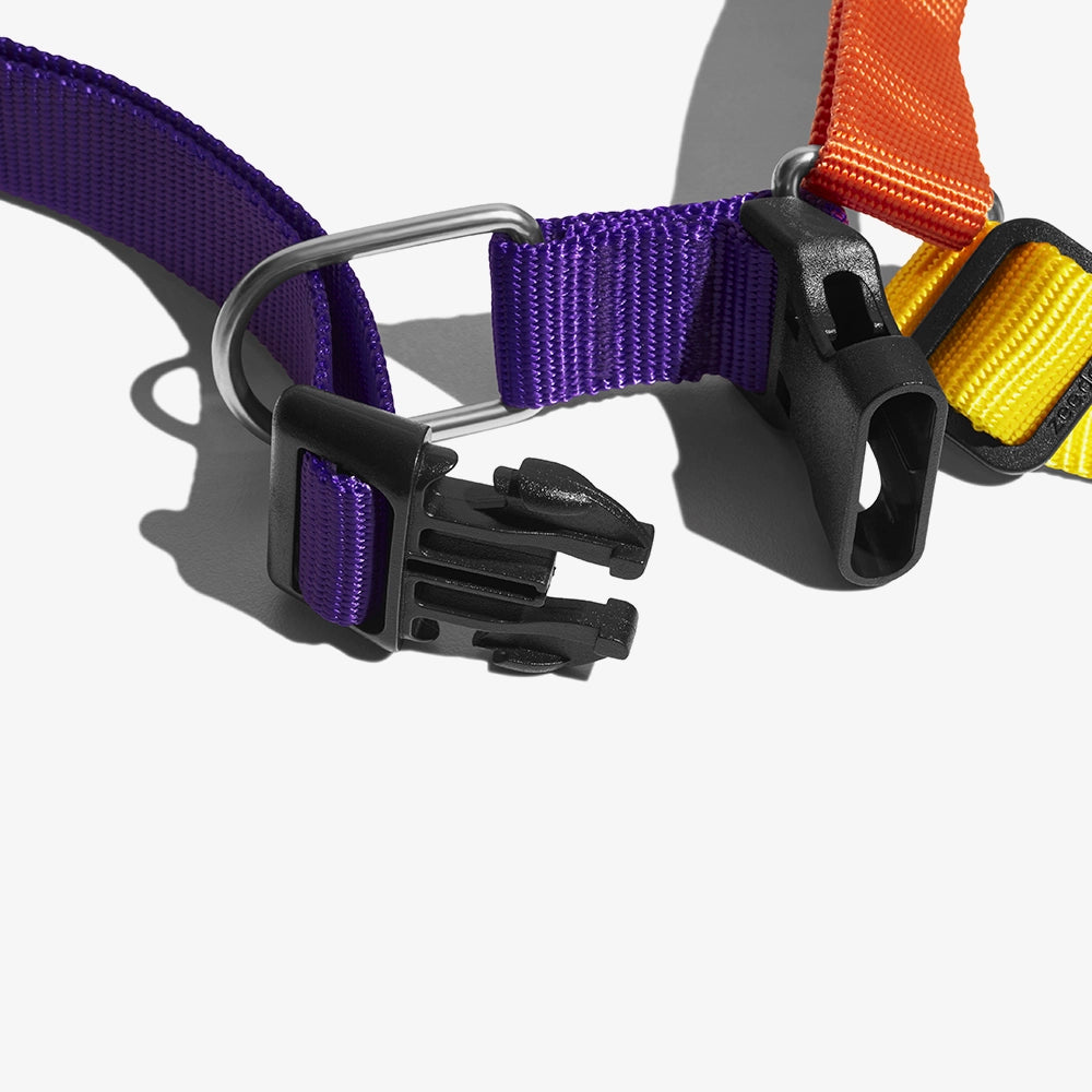 Arnés Soft-Walk para Perros Jaladores Pump