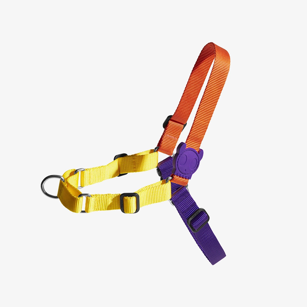 Arnés Soft-Walk para Perros Jaladores Pump