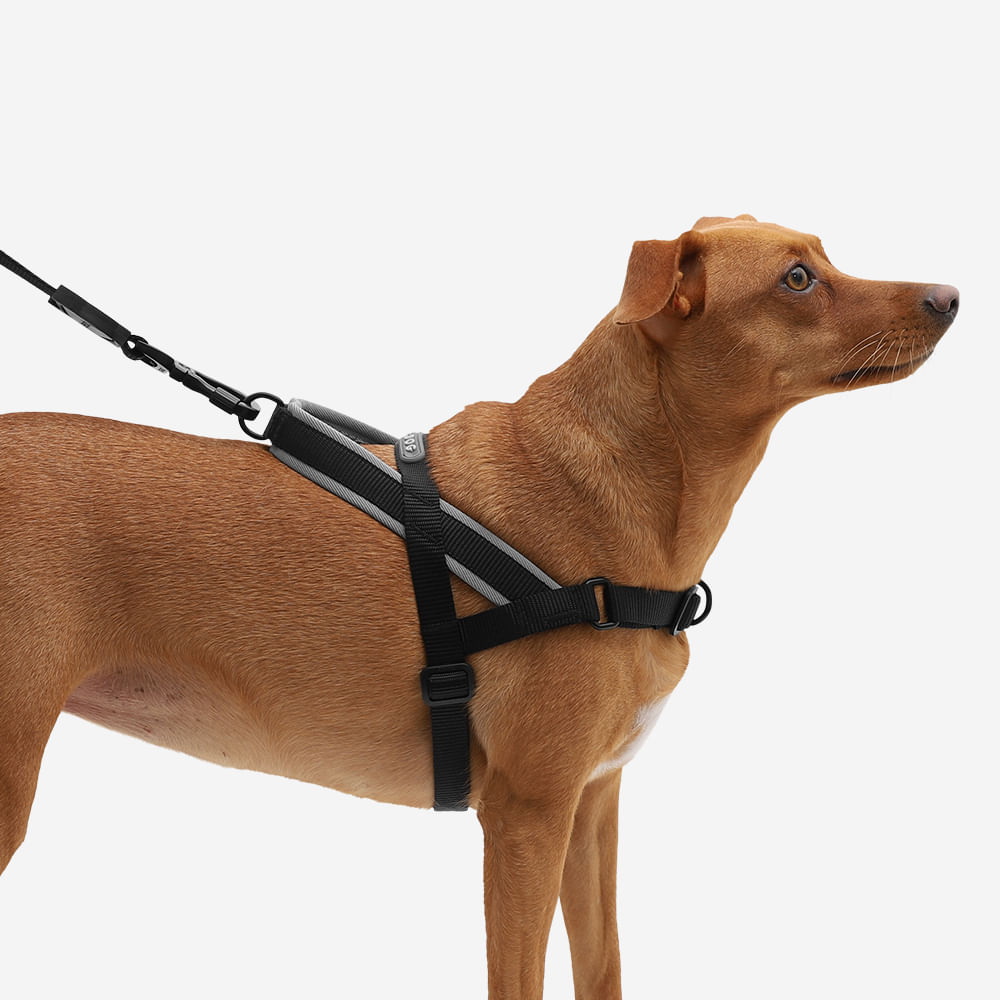 Arnés SofterWalk para Perros Jaladores Gotham